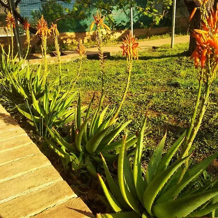 Naturstein-mediterranhaus Mit Gartenblick Holiday home Flogita