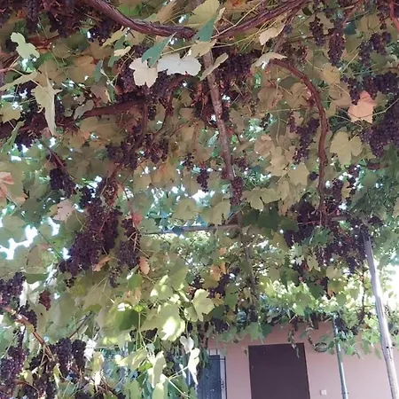 Naturstein-mediterranhaus Mit Gartenblick Feriehus *