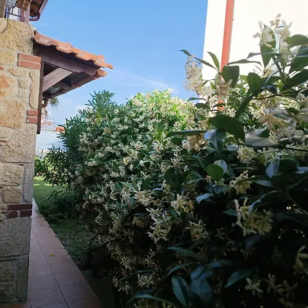 Naturstein-mediterranhaus Mit Gartenblick * Flogita