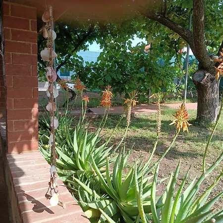 Naturstein-mediterranhaus Mit Gartenblick