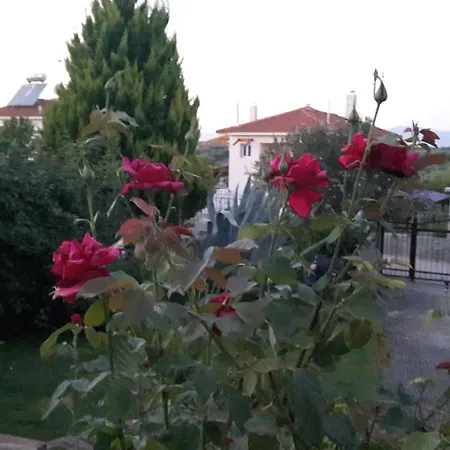 Сasa de vacaciones Naturstein-mediterranhaus Mit Gartenblick Flogita